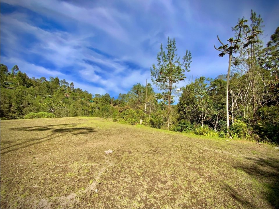 Venta Ultimos Lotes Sin Registro Vista Bosque Parcelacion Fizebad — foto 5