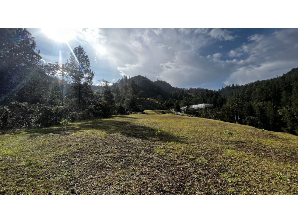 Venta Ultimos Lotes Sin Registro Vista Bosque Parcelacion Fizebad — foto 3