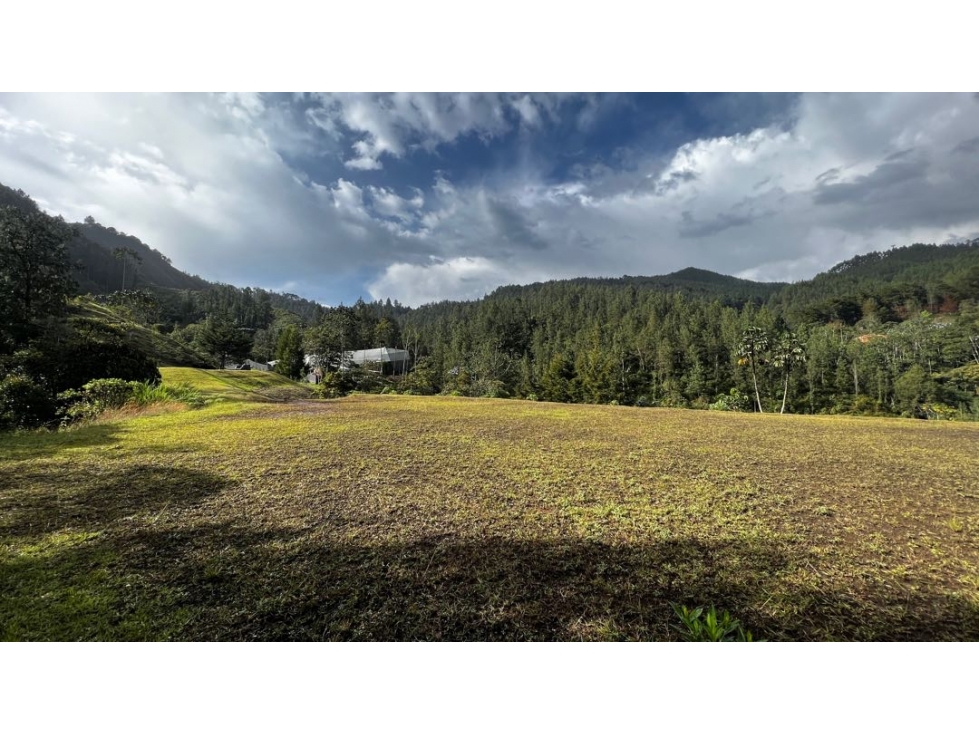 Venta Ultimos Lotes Sin Registro Vista Bosque Parcelacion Fizebad — foto 4