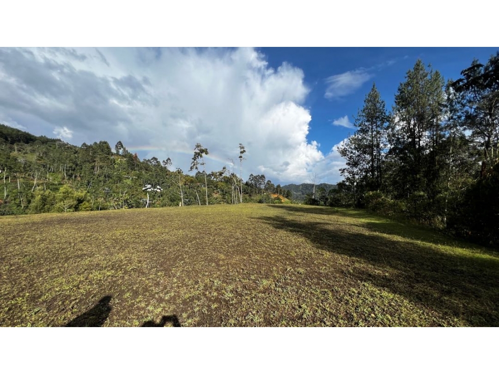 Venta Ultimos Lotes Sin Registro Vista Bosque Parcelacion Fizebad — foto 5