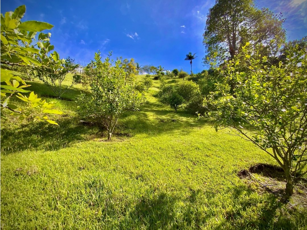 Venta Lote Vista Represa Parcelacion Sector Fizebad El Retiro
