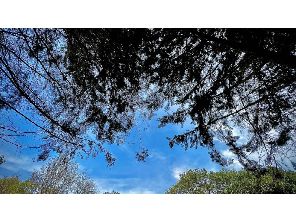 Venta Lote Increible Vista Parcelacion Carril Nado El Retiro — foto 6