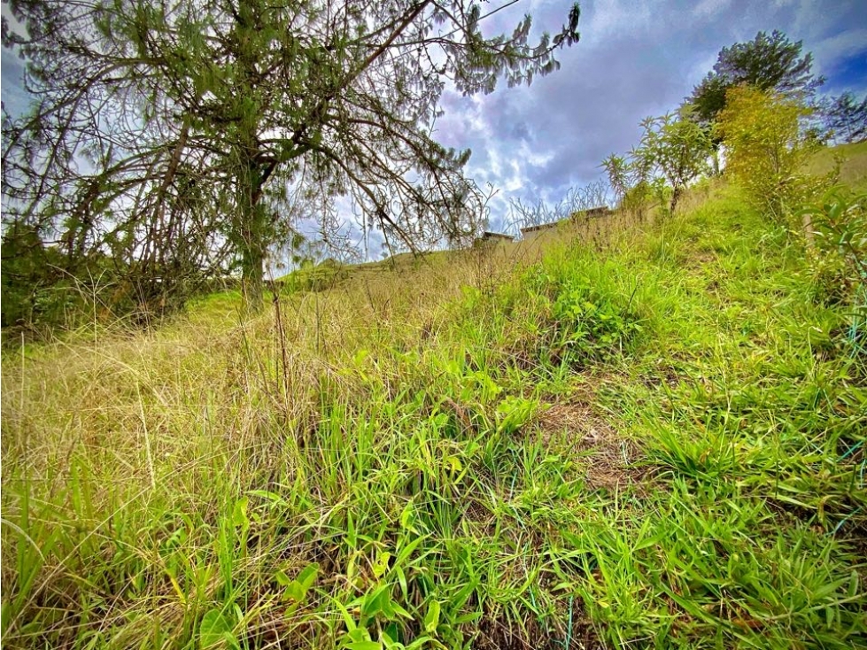 Venta Lote Semiparcelacion El Retiro Bonita Vista — foto 6