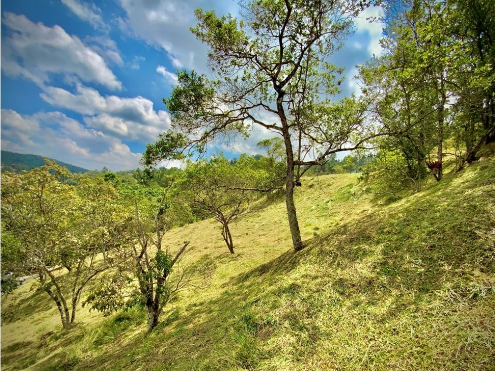 Venta Lote Exotica Vista Parcelacion Alto Palmas — foto 4