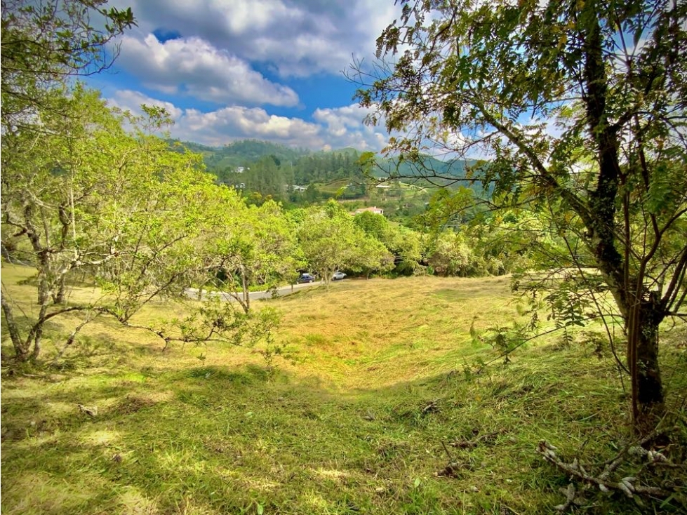 Venta Lote Exotica Vista Parcelacion Alto Palmas — foto 3