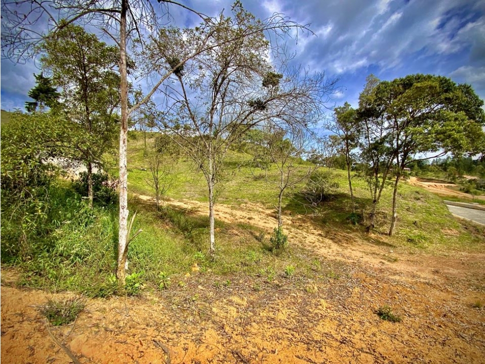 Lote Parcelacion Via San Antonio La Ceja (Carmen de Viboral) — foto 6