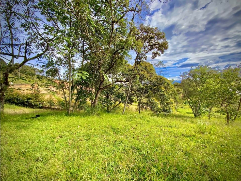 Lote Parcelacion Via San Antonio La Ceja (Carmen de Viboral) — foto 3