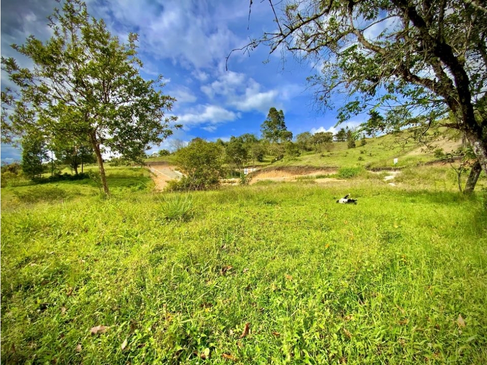 Lote Parcelacion Via San Antonio La Ceja (Carmen de Viboral) — foto 5
