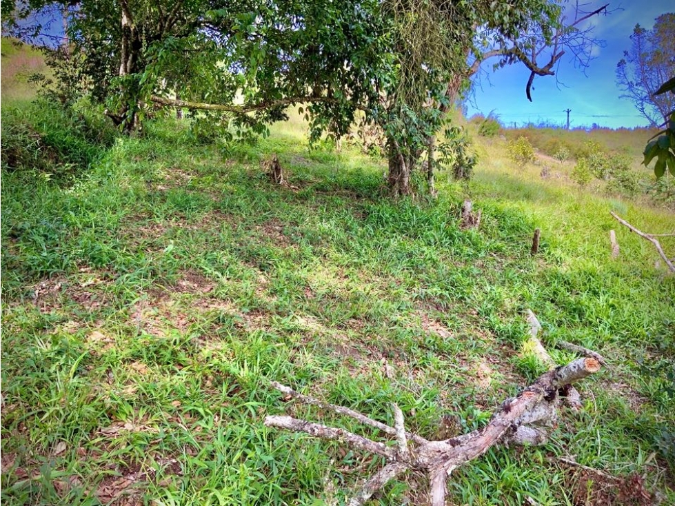 Venta Lote Parcelacion Via San Antonio La Ceja (Carmen de Viboral) — foto 2