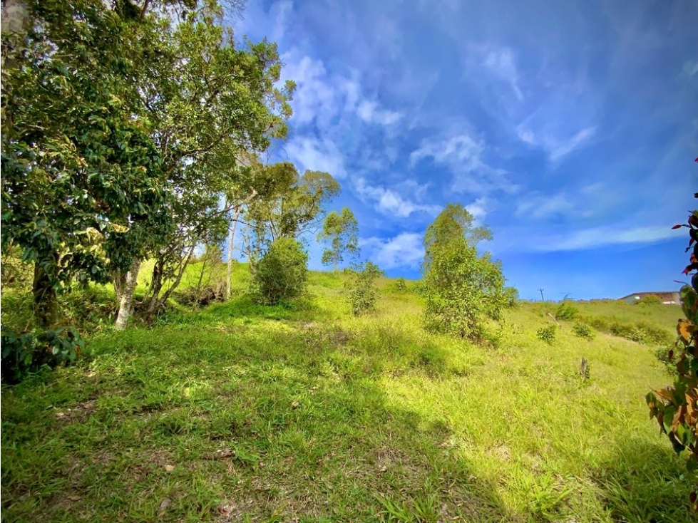 Venta Lote Parcelacion Via San Antonio La Ceja (Carmen de Viboral) — foto 4