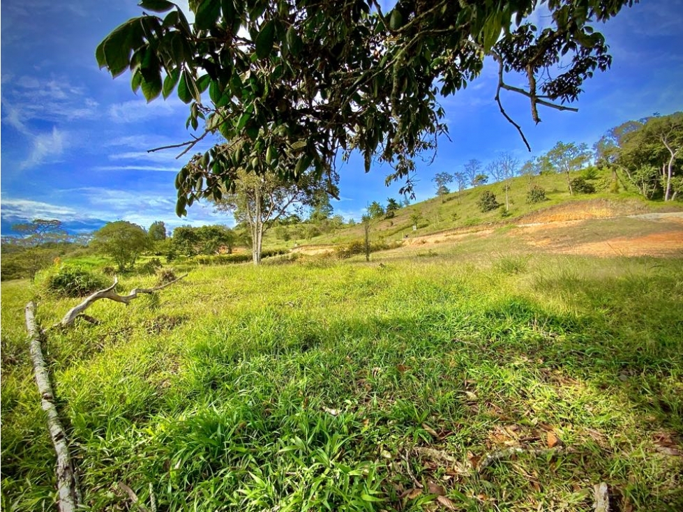 Lote Parcelacion Via San Antonio La Ceja (Carmen de Viboral) — foto 4