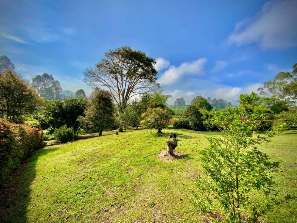 Venta Lote ondulado Parcelacion QuebradaVia San Antonio La Ceja — foto 5