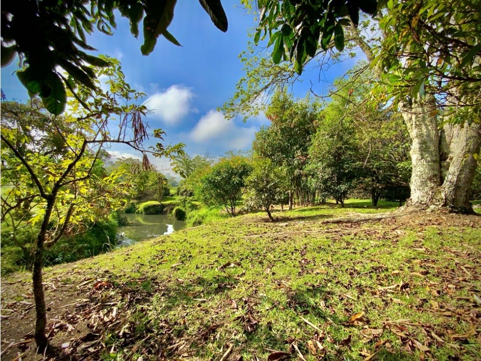 Venta Lote ondulado Parcelacion QuebradaVia San Antonio La Ceja — foto 2