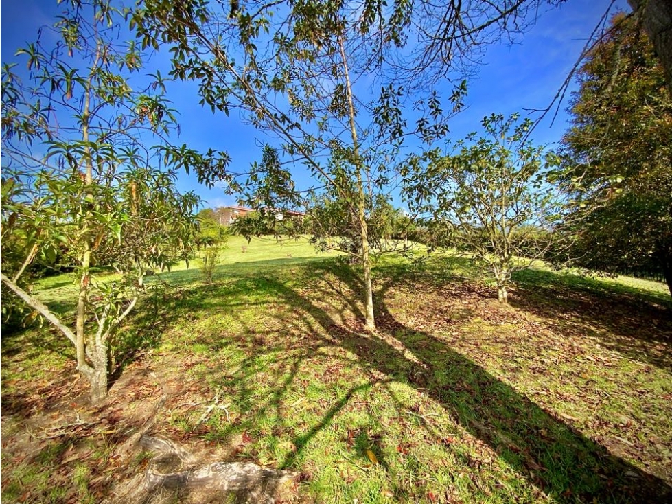 Venta Lote ondulado Parcelacion QuebradaVia San Antonio La Ceja — foto 4