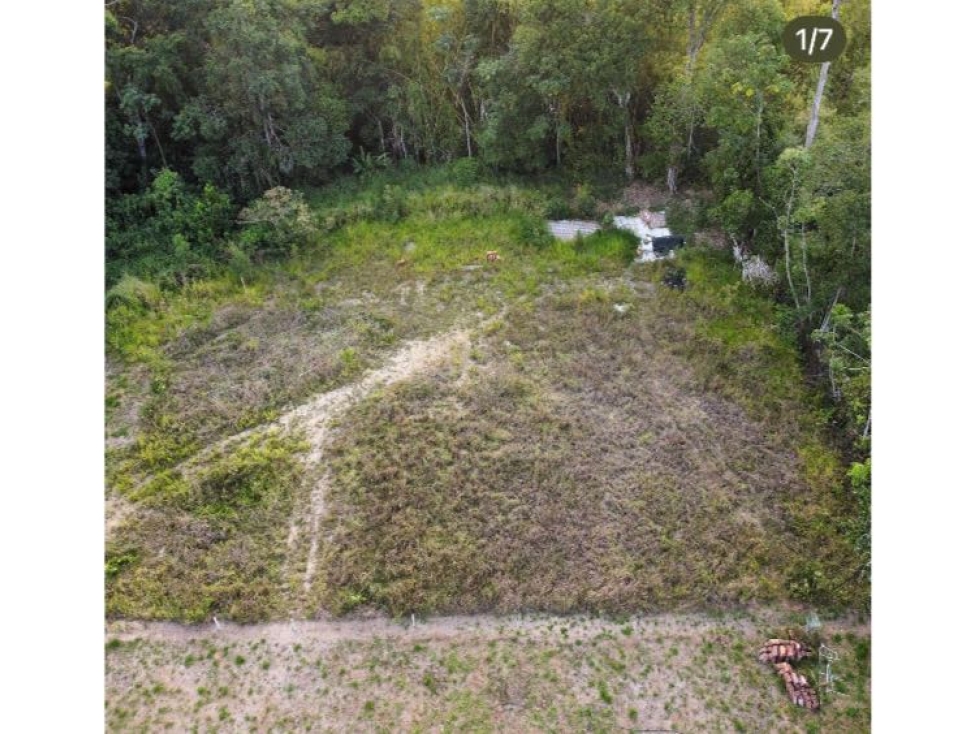 Lote pavas. Cerritos. Pereira