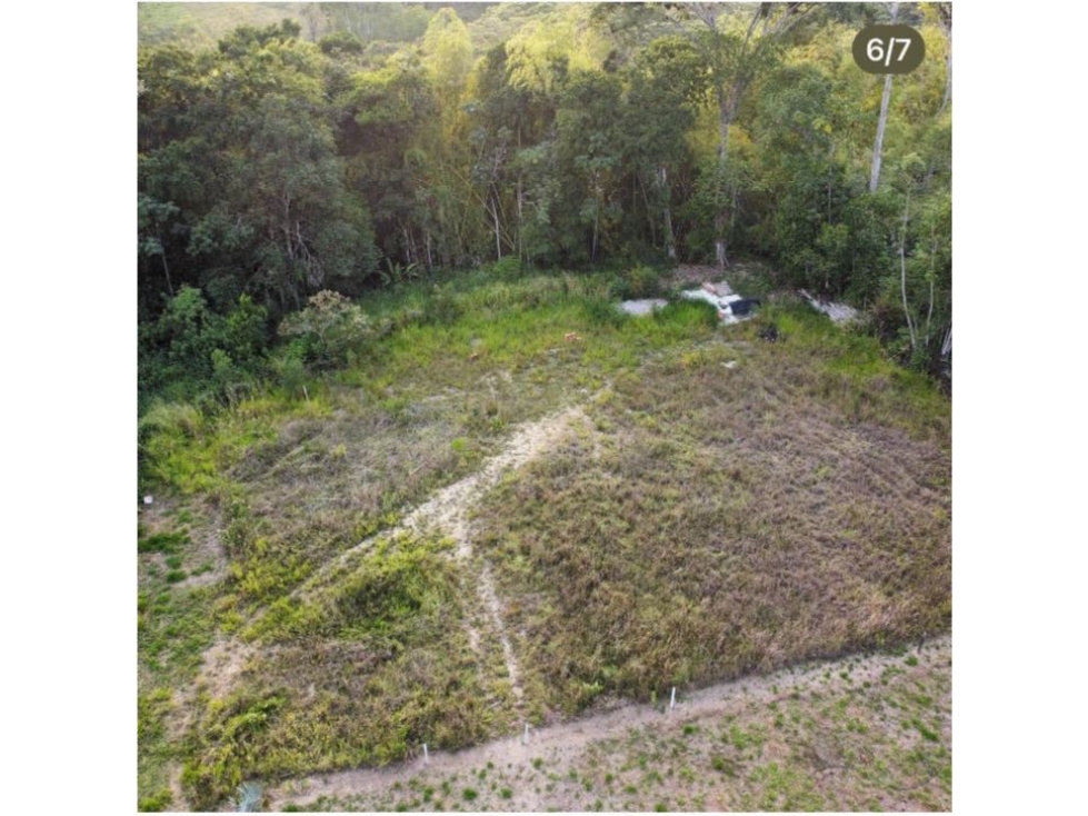 Lote pavas. Cerritos. Pereira — foto 4