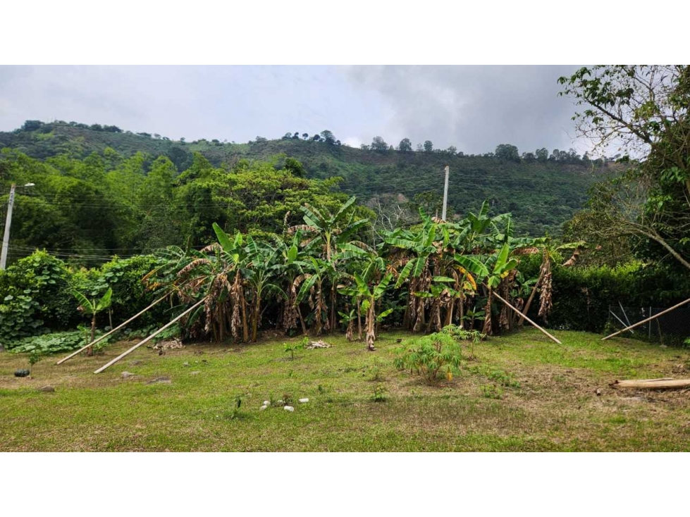 Lote Plano con Licencia-Vereda Zapata en La Mesa. - 4