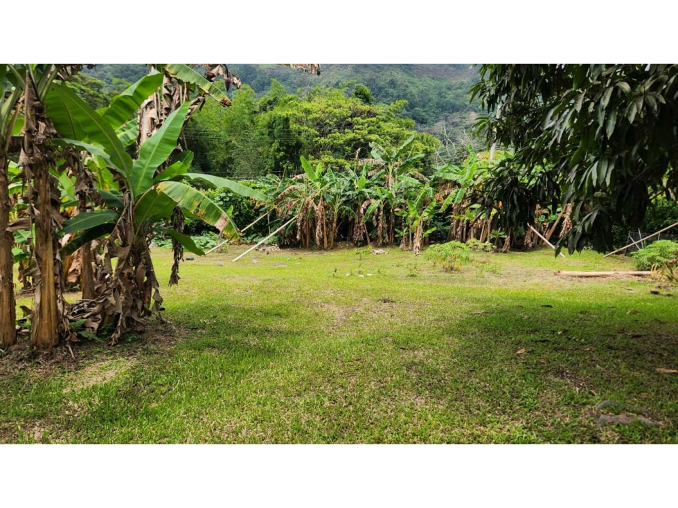 Lote Plano con Licencia-Vereda Zapata en La Mesa. - 5
