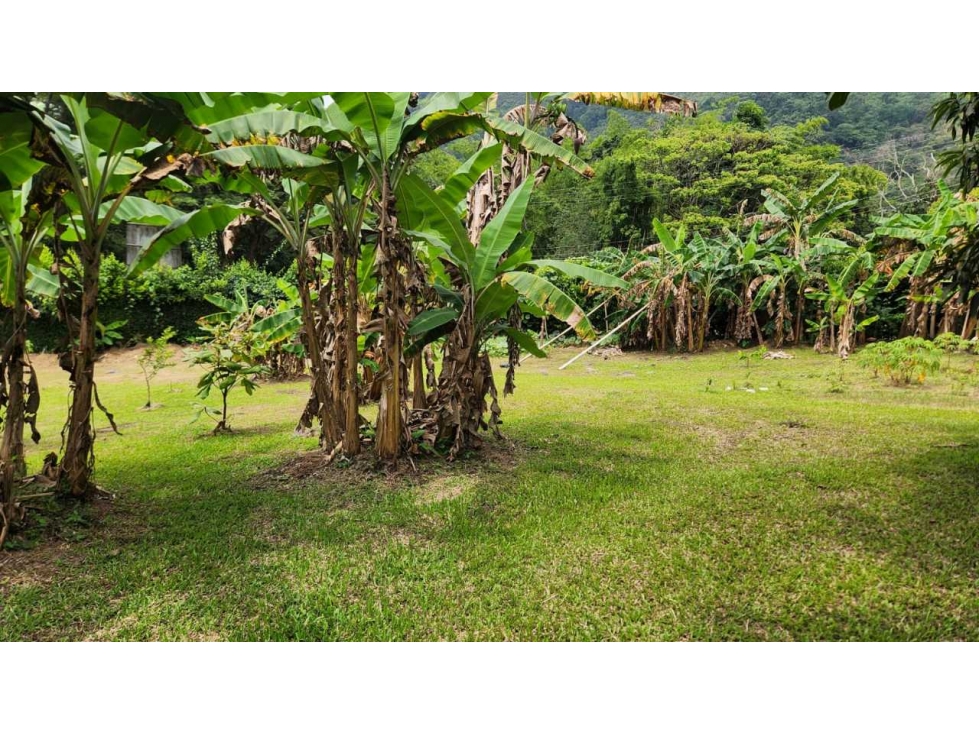 Lote Plano con Licencia-Vereda Zapata en La Mesa. - 6