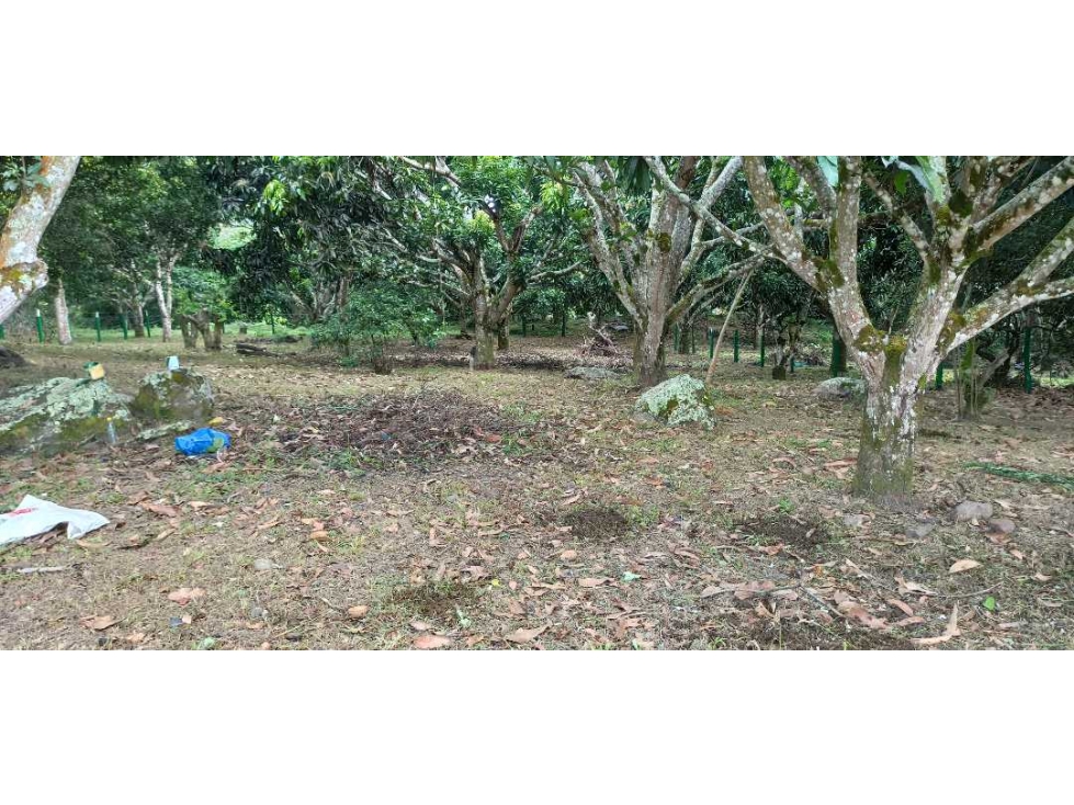 Lote Plano De 1000 M² En La Mesa Cundi - 1