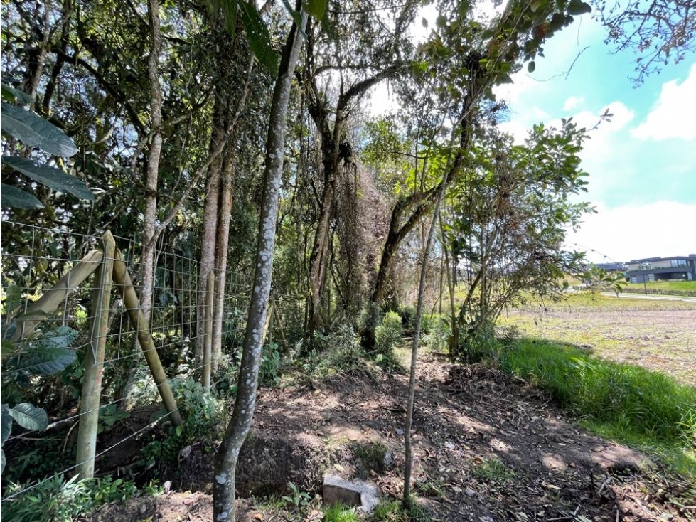 Lote plano en El Alto de las Palmas sector Acuarela - 2