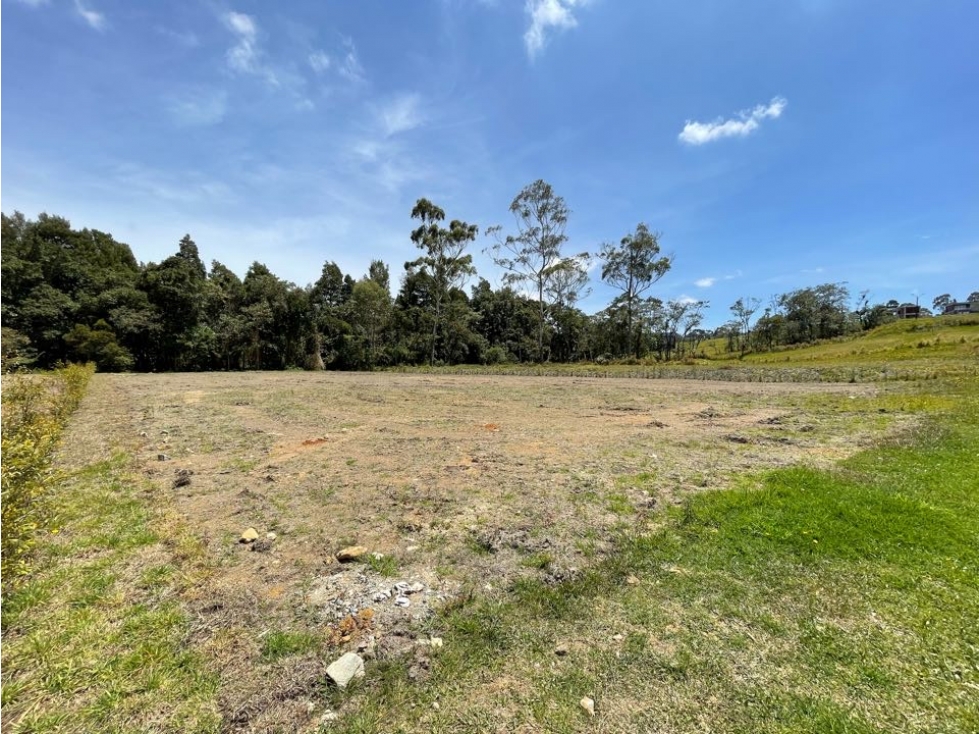 Lote plano en El Alto de las Palmas sector Acuarela - 4
