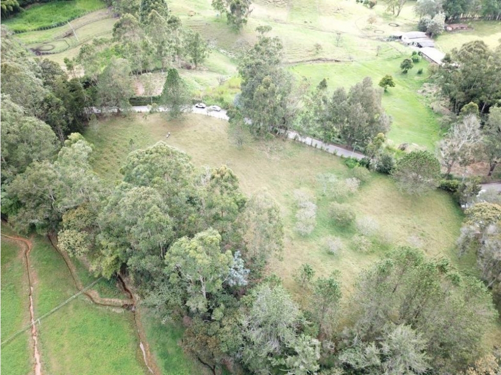 VENTA LOTE PLANO INDEPENDIENTE EN LLANOGRANDE SECTOR PONTEZUELA