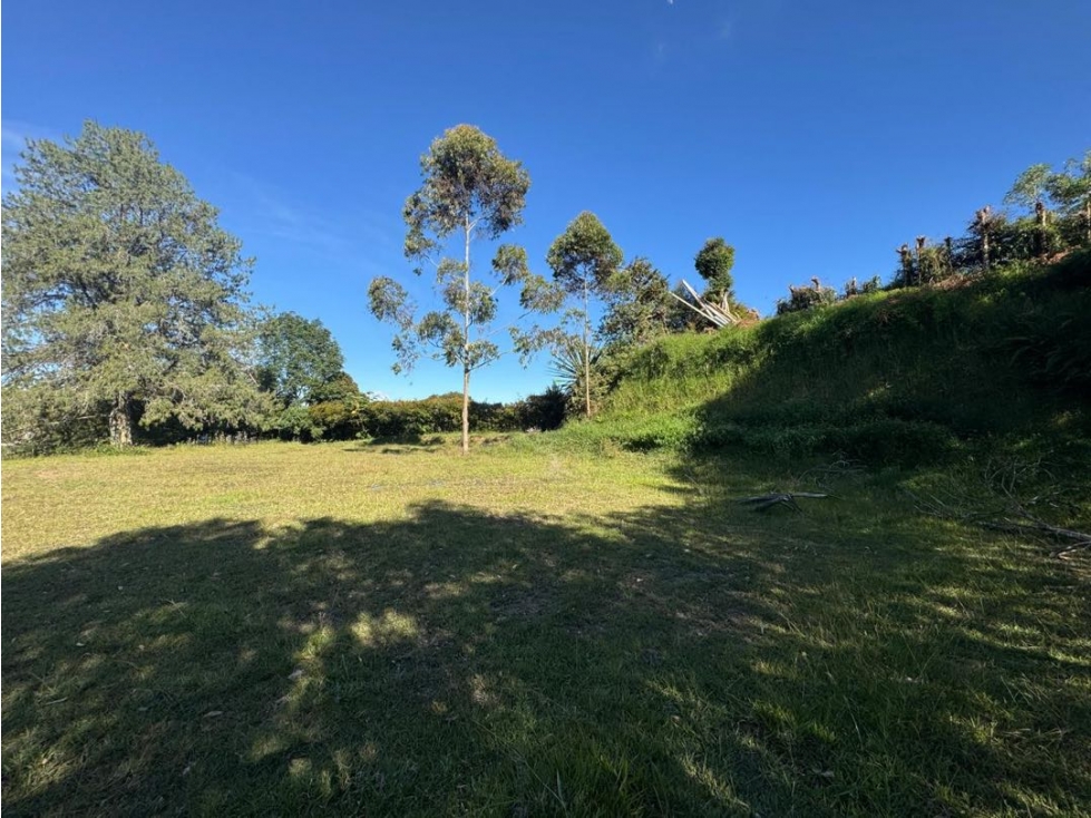 Lote plano independiente en venta en Llanogrande vista a las montañas — foto 6