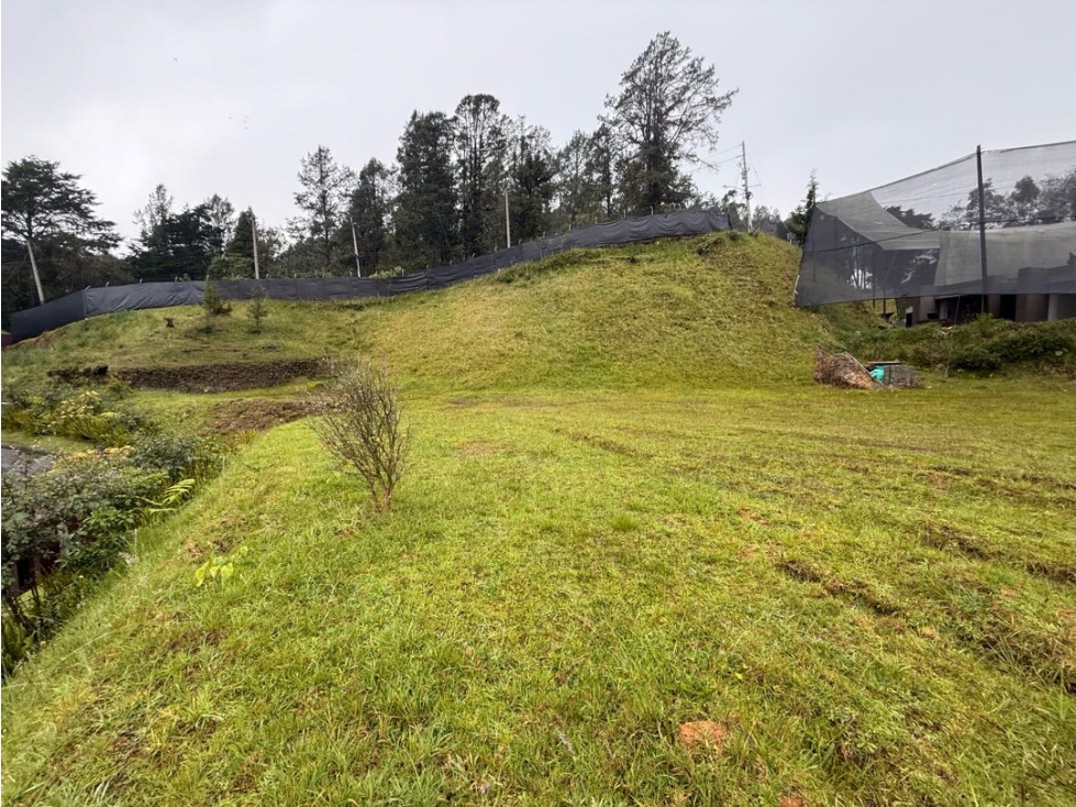LOTE PLANO UBICADO EN LAS PALMAS — foto 2