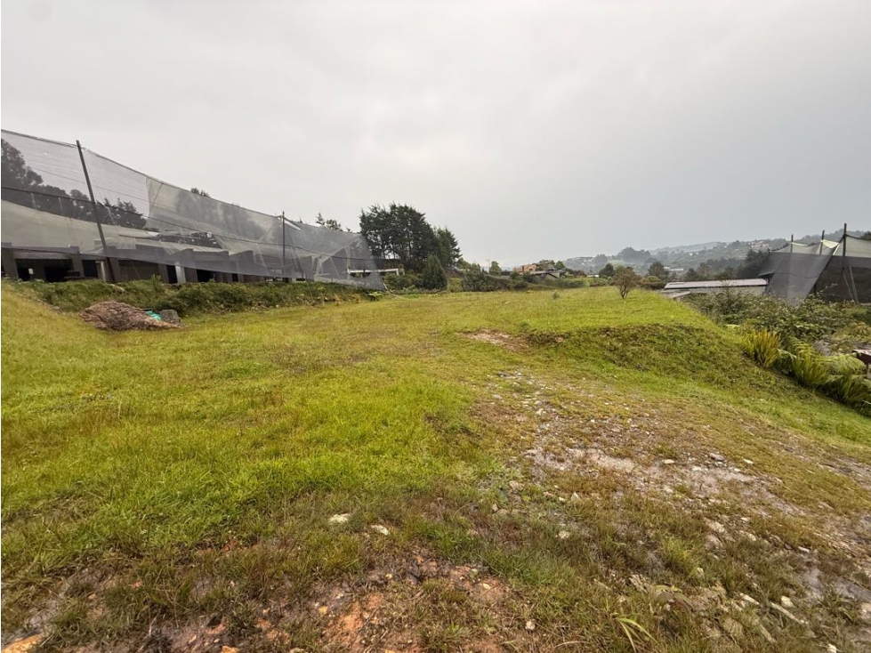 LOTE PLANO UBICADO EN LAS PALMAS — foto 3