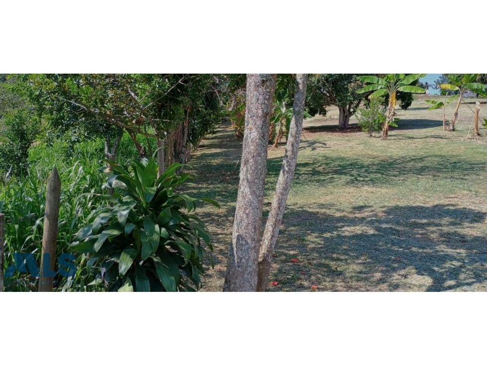 LOTE PLANO - VEREDA OTRAMINA(MLS#252941) - 3