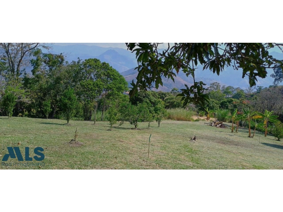 LOTE PLANO - VEREDA OTRAMINA(MLS#252941) - 5