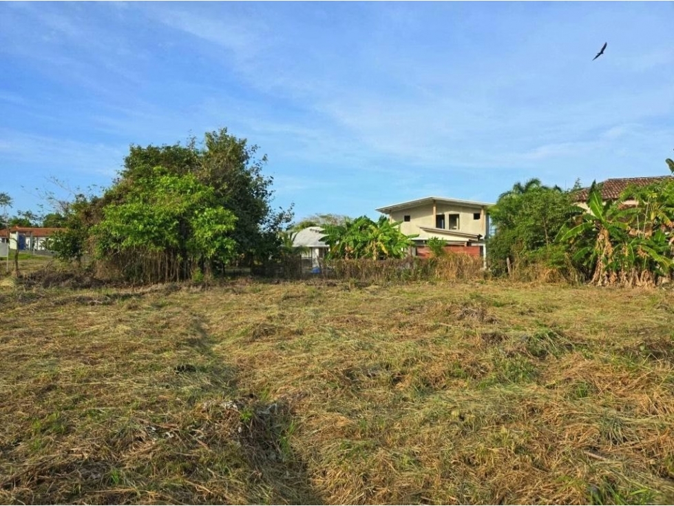 Lote playa a 5 minutos de playa en Pedasí - 5