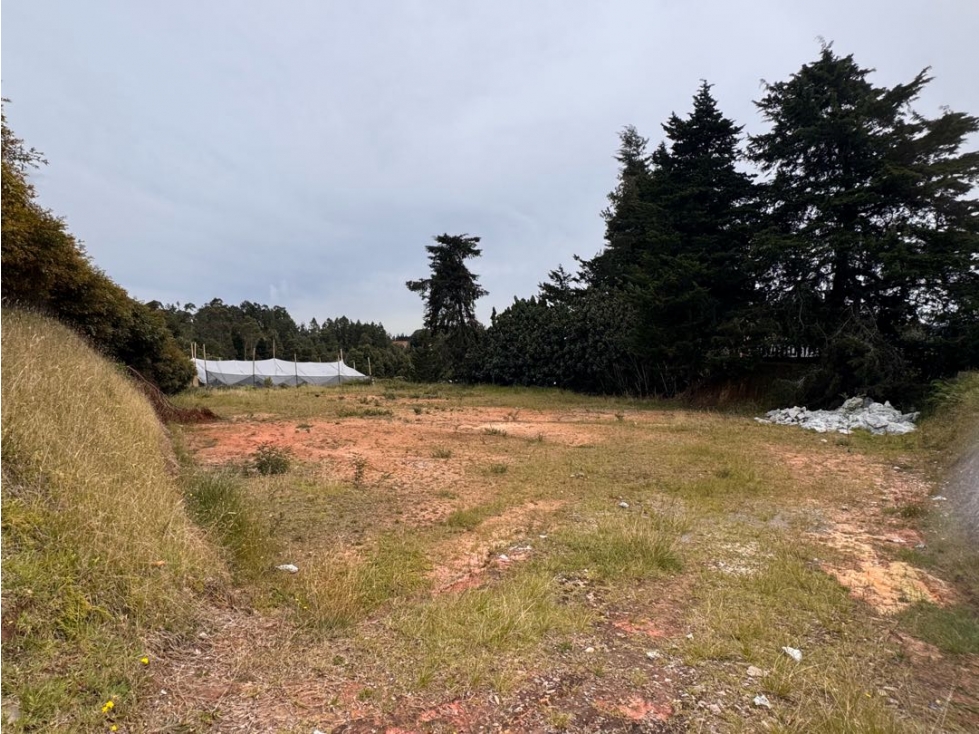 Lote Premium en Venta | Reserva del Bosque, a Minutos del Mall Lemont — foto 2