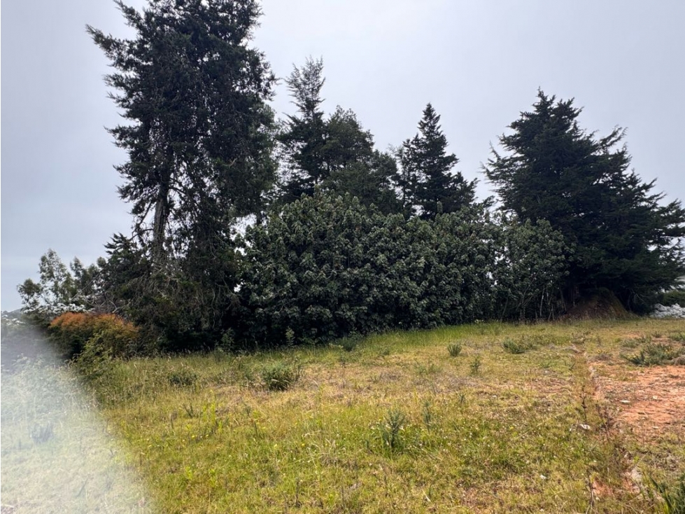 Lote Premium en Venta | Reserva del Bosque, a Minutos del Mall Lemont — foto 4