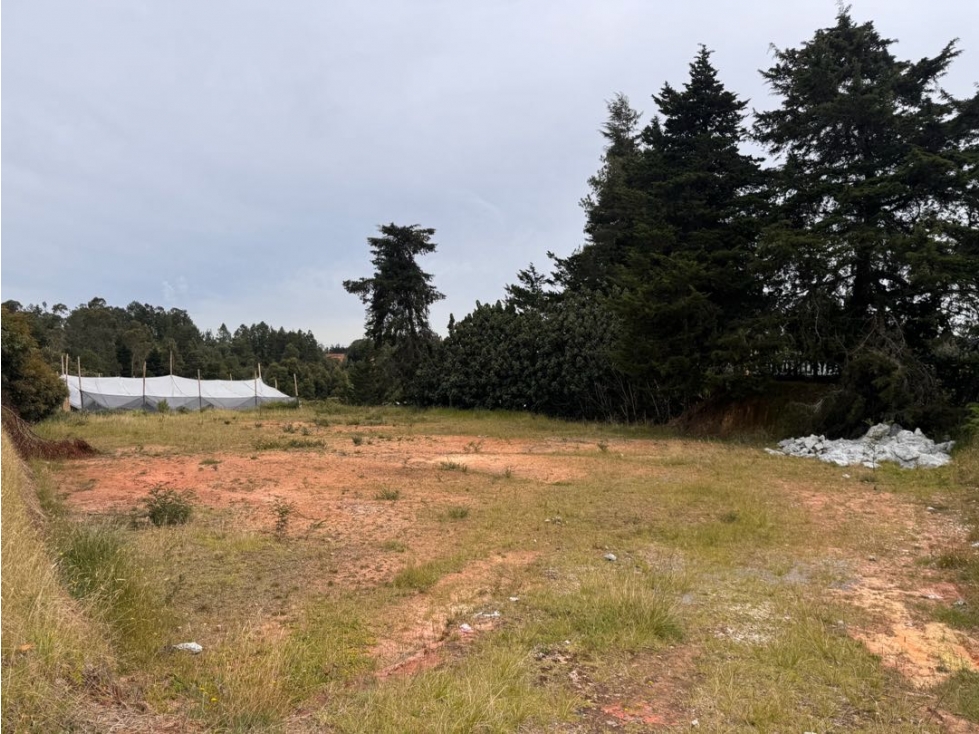 Lote Premium en Venta | Reserva del Bosque, a Minutos del Mall Lemont — foto 5