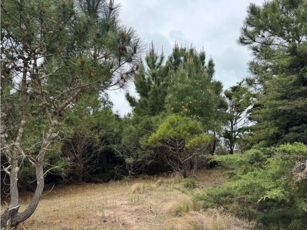 Lote Venta Costa Esmeralda Marítimo IV Lote 20 Frente al Mar 1500 m2 - 3
