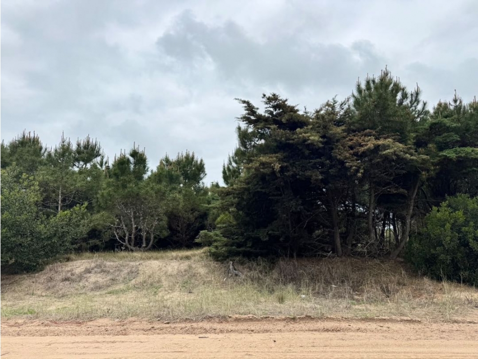 Lote Venta Costa Esmeralda Marítimo IV Lote 20 Frente al Mar 1500 m2 - 6