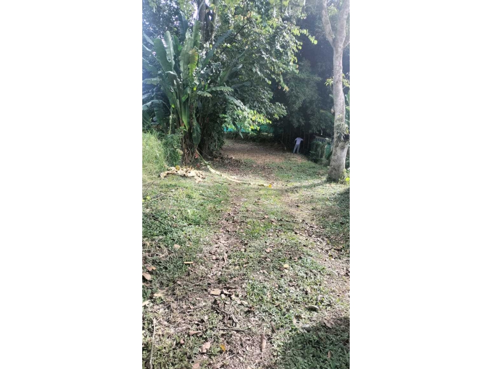 Se vende Lote pueblo tapao, Quindío, Colombia.