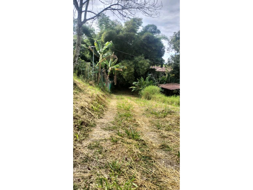 Se vende Lote pueblo tapao, Quindío, Colombia. — foto 2