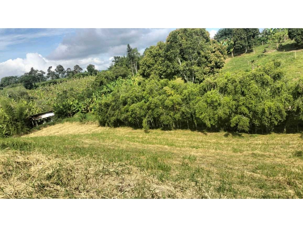 Se vende Lote pueblo tapao, Quindío, Colombia. — foto 5