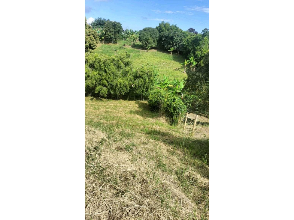 Se vende Lote pueblo tapao, Quindío, Colombia. — foto 6