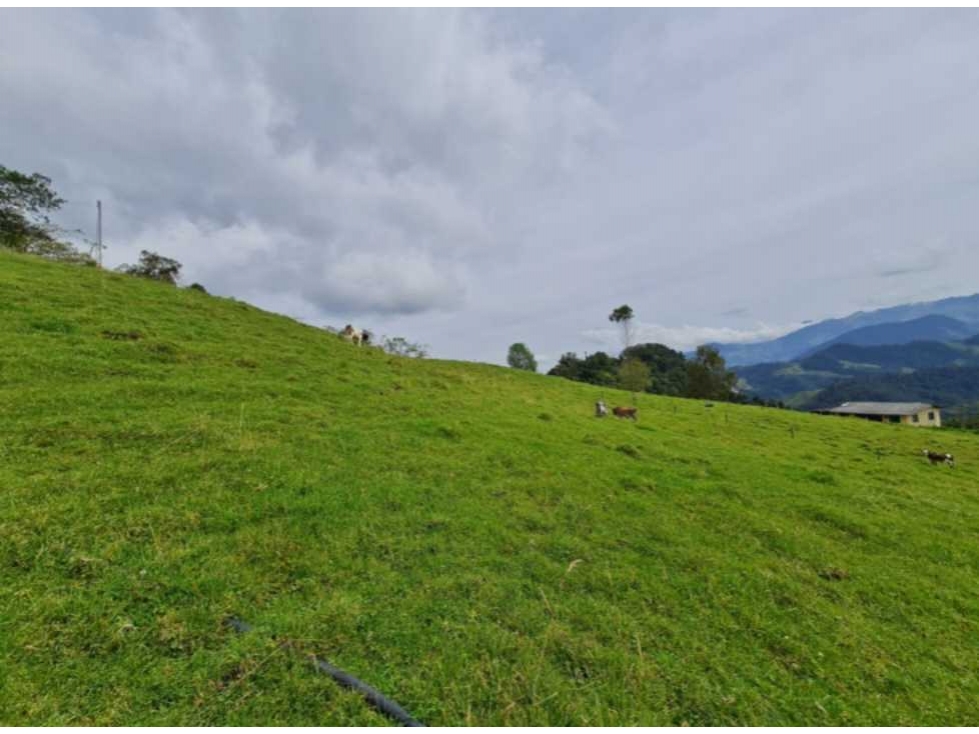 Finca Reserva Río Blanco Manizales — foto 2