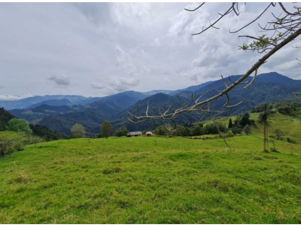 Finca Reserva Río Blanco Manizales — foto 3