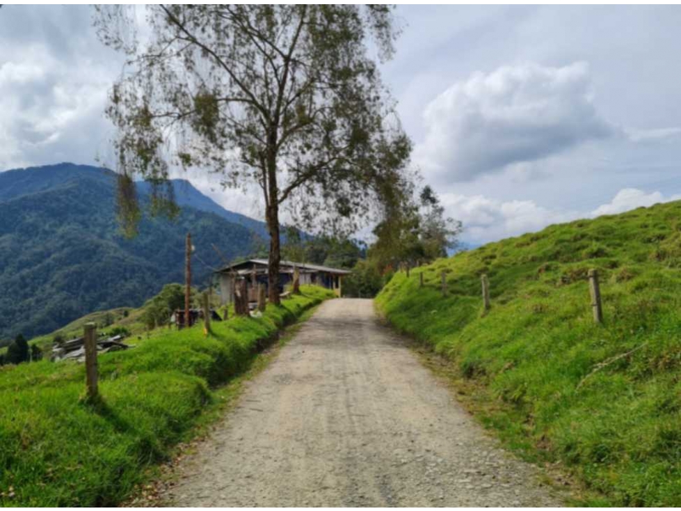 Finca Reserva Río Blanco Manizales — foto 5