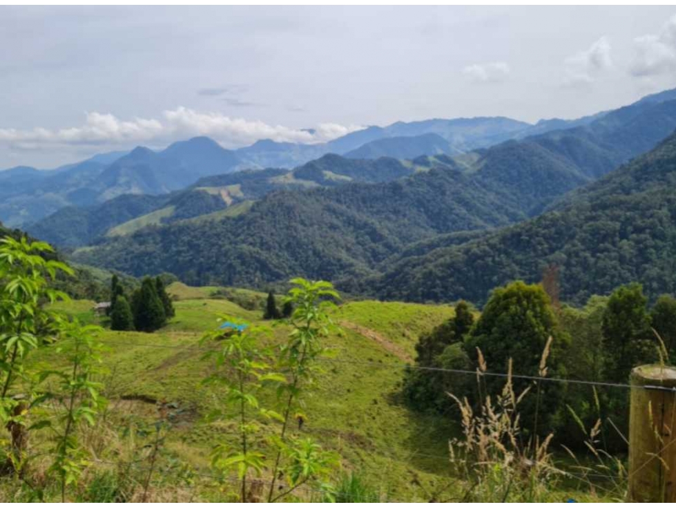 Finca Reserva Río Blanco Manizales — foto 6