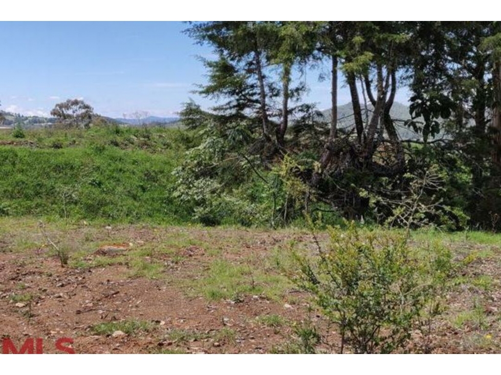 Lote Residencial en venta en Alto de las Palmas, Envigado — foto 3