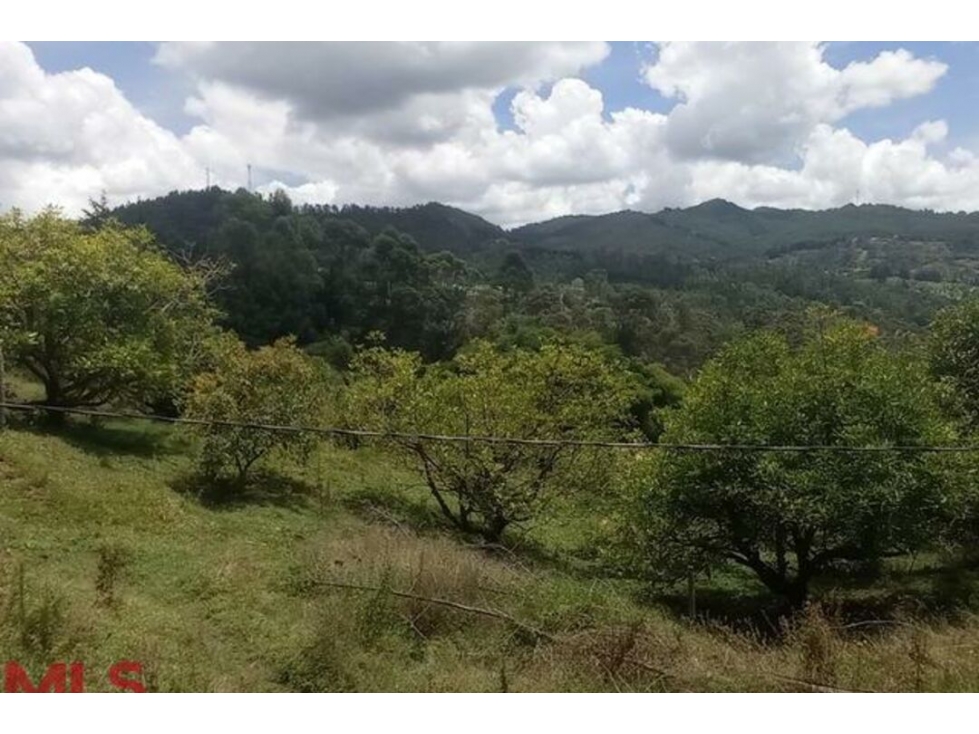 Lote Residencial en venta en Corredor Don Diego, El Retiro — foto 4