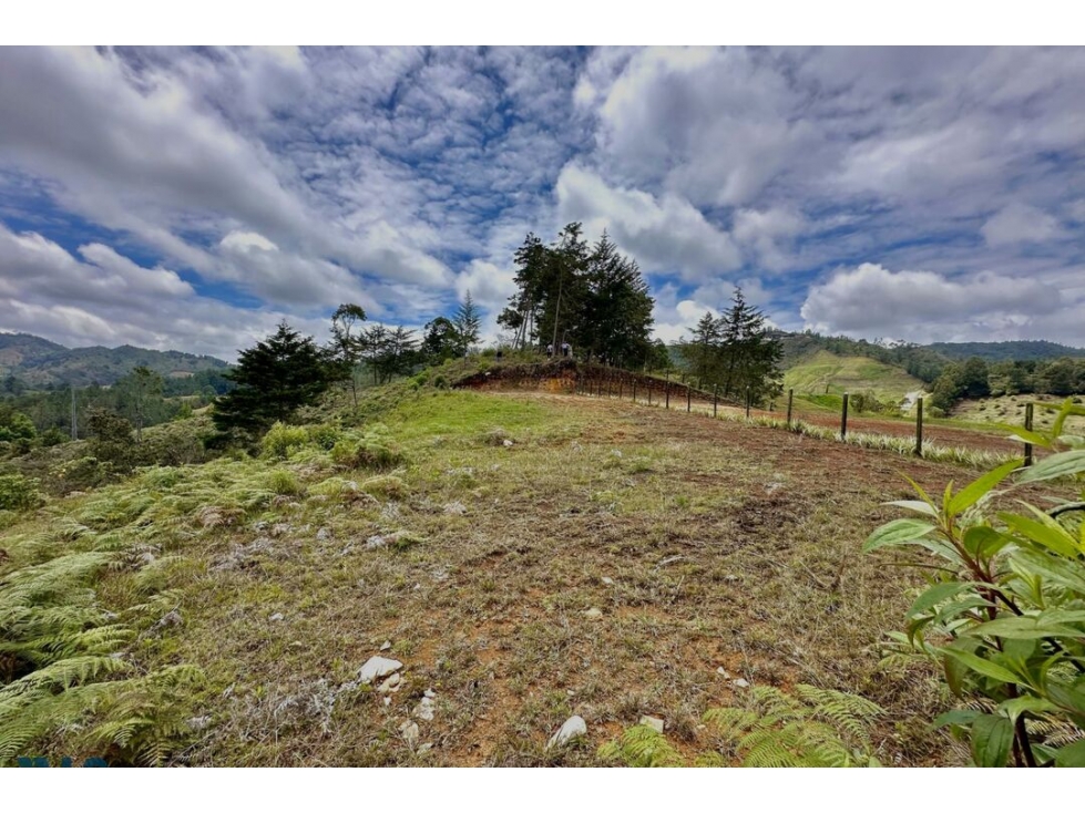 Lote Residencial en venta en El Ochuval, La Ceja — foto 3