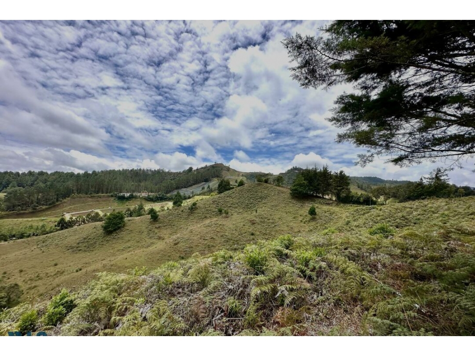 Lote Residencial en venta en El Ochuval, La Ceja — foto 4